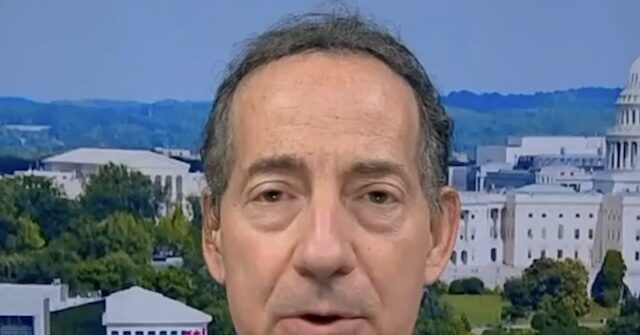 Raskin: Trump 'Has No Role at All in Administering Midterm Elections'
