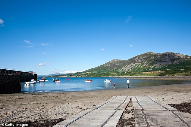 Trefor has a population of just over 1,000. Its community council has called the Welsh-language development as a 'golden opportunity' to preserve the 'soul' of the nation