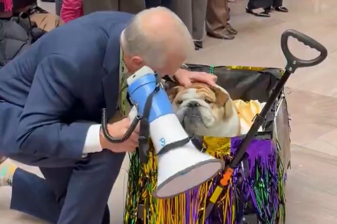 ‘Doggi Gras Pawrade’ – Senators Under Fire For Holding ‘Dog Parade’ as SAVE America Act Stalls (VIDEO)