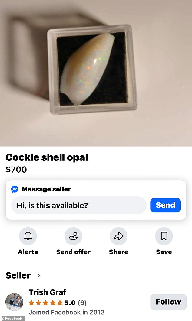 Trish Graf had listed $2700 worth of opals for sale on Facebook