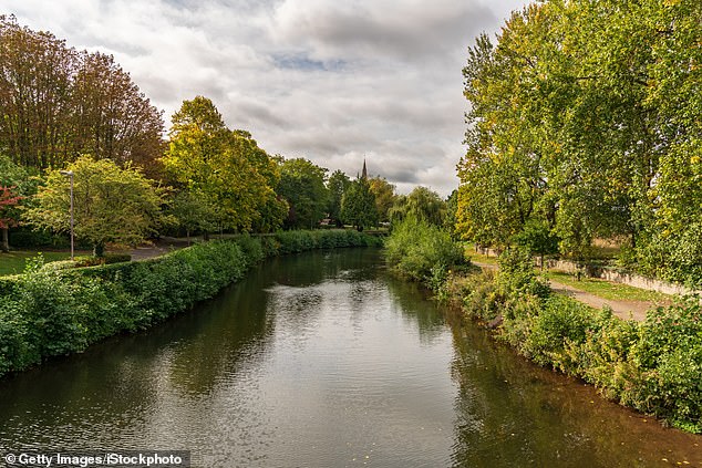 His body was found by a member of the public in the water in Bridge Street, Taunton (pictured: The River Tone in Taunton, Somerset)