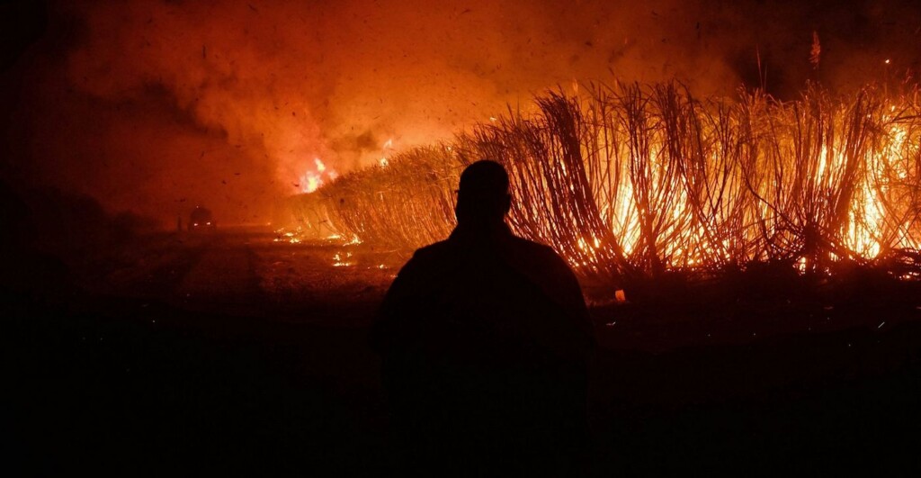 Africa’s Wildfire Season Is Actually Getting Shorter, Scientists Think They Know Why
