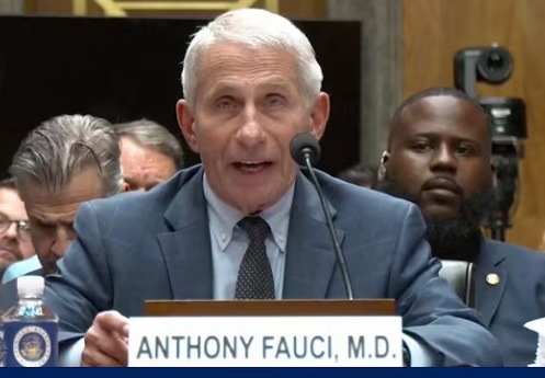 Analysis: The Fauci Senate dog-and-pony show ‘will not satiate our Covid bloodlust’