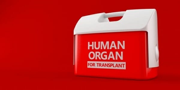 ‘A new ethical context’: Doctors push plan to kill people by taking their organs for transplant