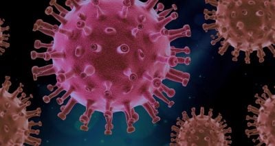 There Never Was a “New Corona Virus”, There Never Was a  Pandemic