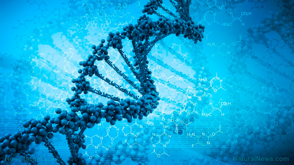 “ATB Personal Restoration Class” on BrightU: The hidden information system that challenges how we understand human biology