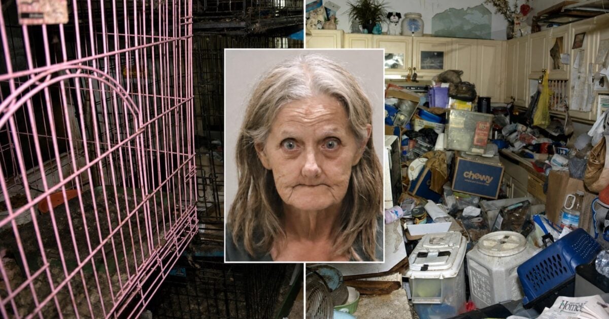Florida Mail Carrier Was Accused Of Taking Cats Along Her Route—What Deputies Found Inside Her Home Was Even Worse