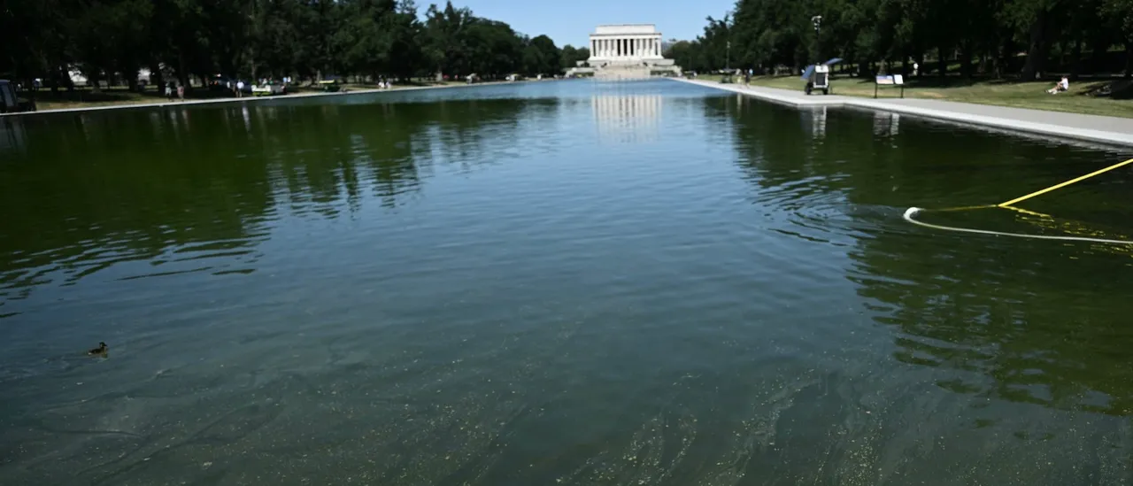 Trump Responds After DOJ Throws Interior Dept Under Bus In Dismissing ‘Botched’ Reflecting Pool Case