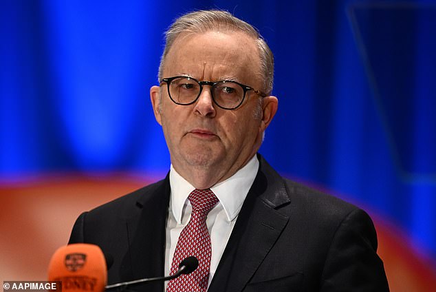 One Nation and Anthony Albanese's  Labor Party have battled for the top position in the polls since May