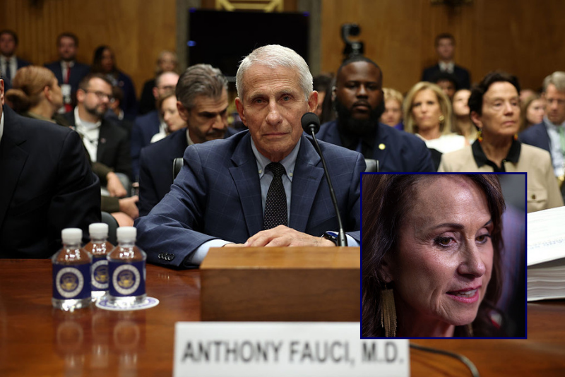 Louisiana latest state to announce investigation into Fauci after high-profile Senate hearing