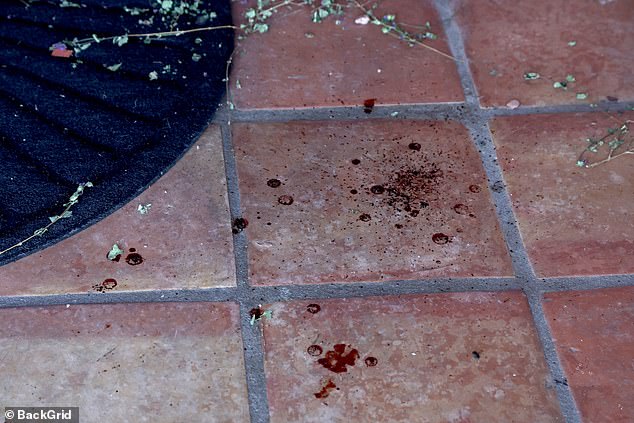Despite there being blood on the front porch of her home, pictured here, homicide detectives, headed by Sgt David Stivers, 'gave little regard' to it for hours, sources said