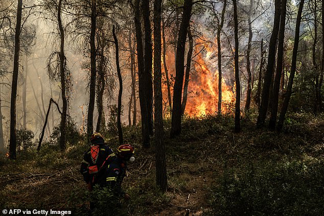 Greek firefighters attempt to fight a huge wall of fire and smoke that has engulfed forests near Porto Germeno on the Gulf of Corinth, northwest of the capital