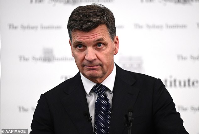 Primary support for the Coalition, led by Opposition Leader Angus Taylor (above), improved four points to 22 per cent