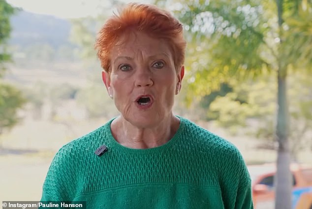 Pauline Hanson demands Australia strengthen its borders now or risk migrant chaos after 50,000 'illegals' barged into Spain: 'Be prepared'