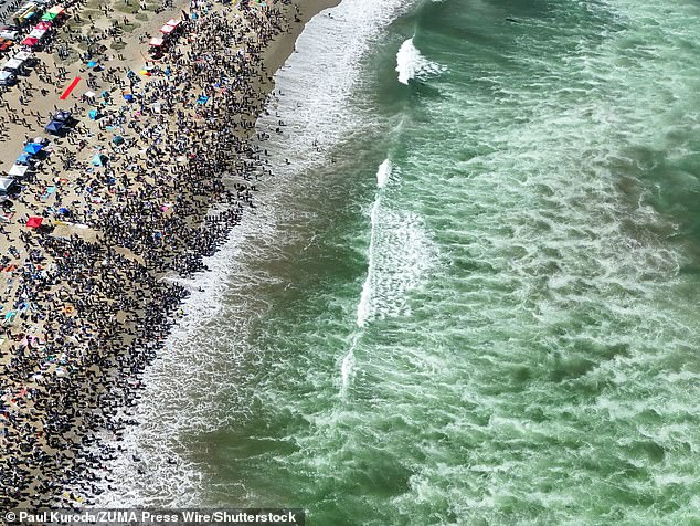 Hundreds of spectators gathered to watch dogs hit the waves for the tenth edition of the event