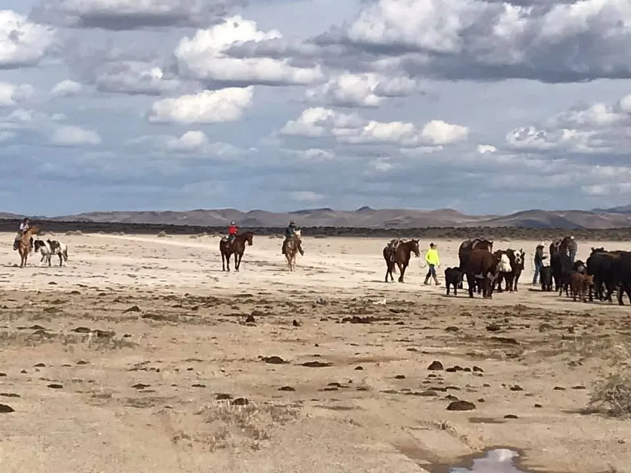 The land that the Snow Family will be left with. Referred to as the "Death March." (Photo provided by Adrienne Snow)