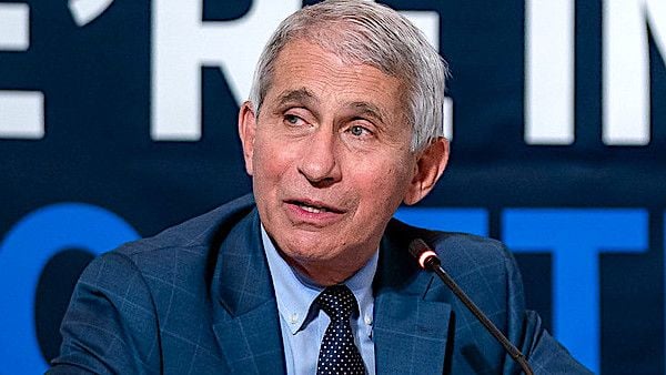 ‘All he had to do was tell the truth’: Senate committee holds Fauci in contempt
