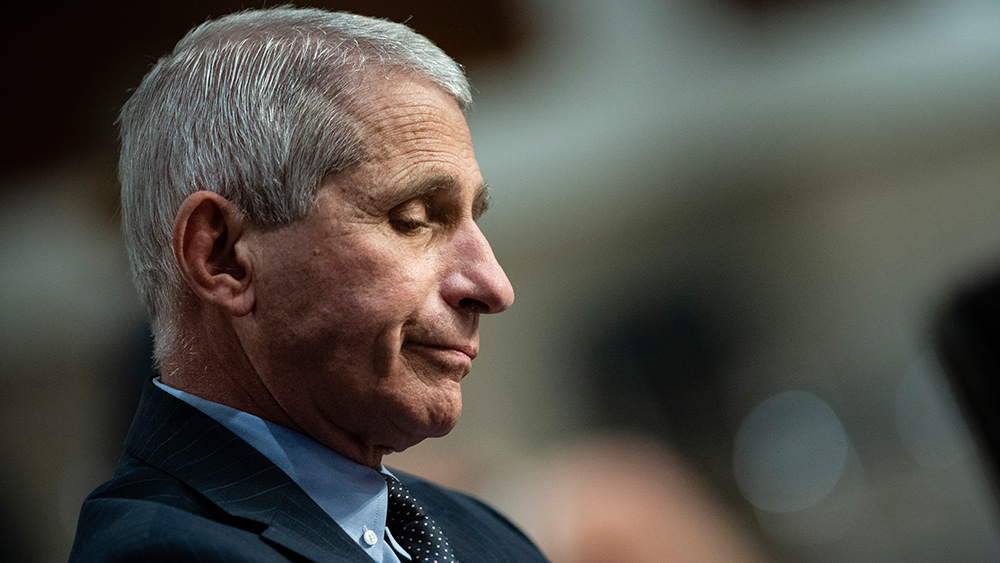 Senate panel votes to hold Fauci in contempt, fast-tracks case to DOJ