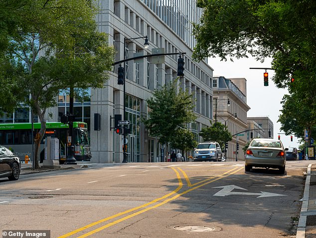 The double-yellow lines were recently added after residents raised safety concerns about the stretch of South State Street (stock)