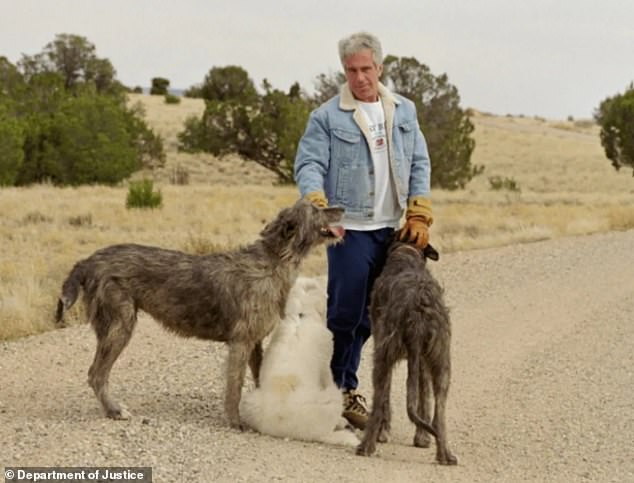 Investigation reveals abuse at Epstein's Zorro Ranch and truth behind claims he planned to impregnate women to create 'superior' children