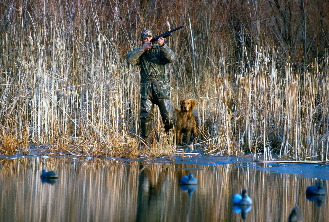 Hunters Cry Fowl Over Trump Review They Fear Could Hammer Duck Populations Nationwide