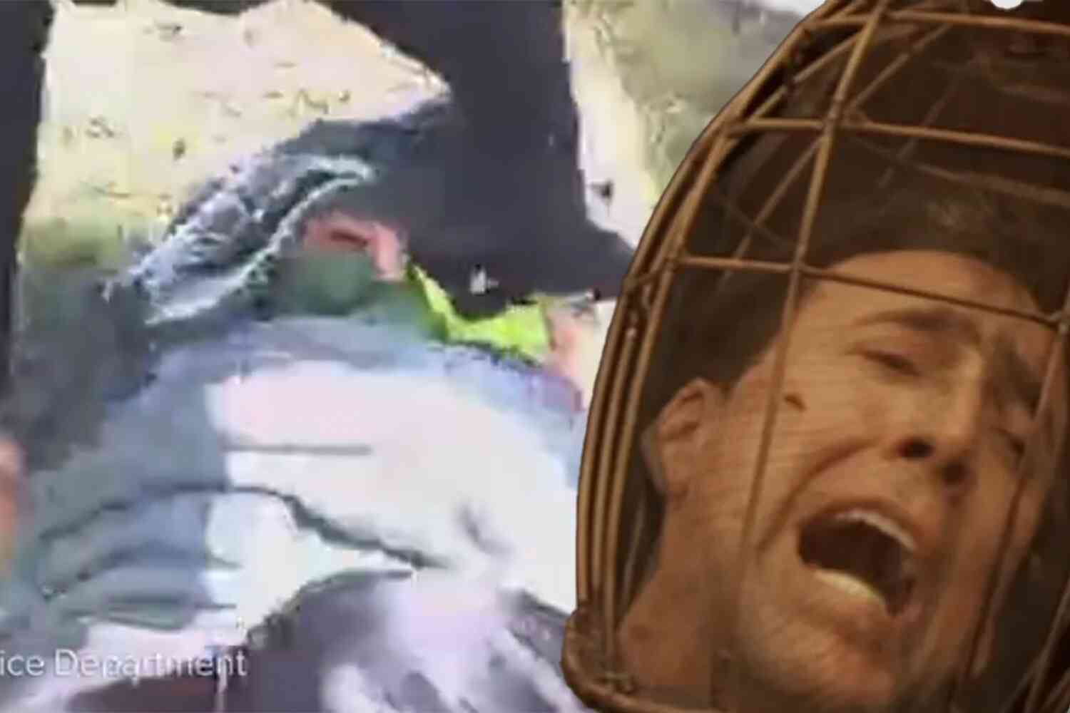 Watch Texas police save disabled man from bee attack