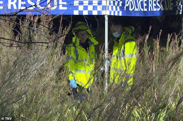 Horrific new details emerge after body in a suitcase is found in bushland near a rural road in NSW