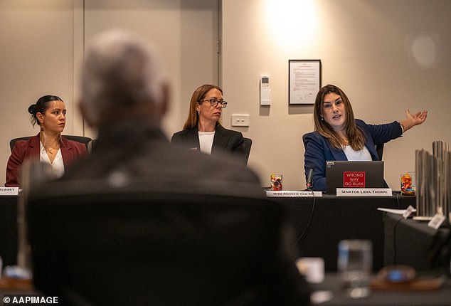 Lidia Thorpe erupts at CEO who wants to stop Welcome to Countries and displaying three flags - as she tells him to 'pay the rent'... and then brands entire state racist