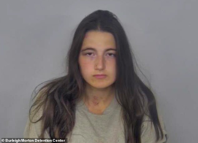 Erhart, 22, faces nine charges, including two counts of murder, one count of attempted murder and multiple counts of aggravated assault and terrorizing. She is being held at the Burleigh Morton Detention Center on a $3 million cash bail