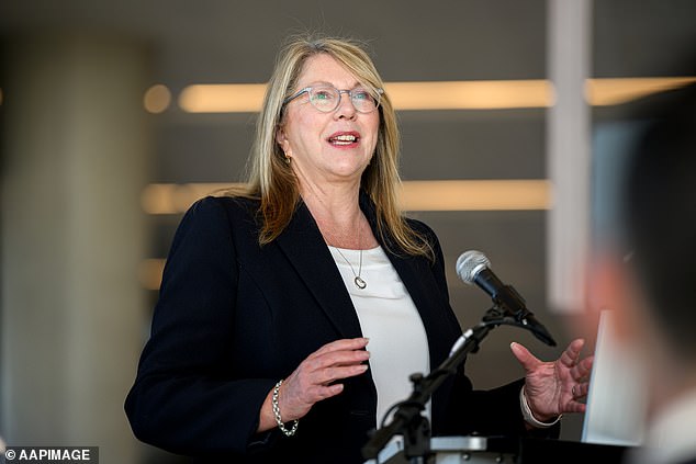 Transport Minister Catherine King said that grounded flights and lengthy delays. compounded by Sunday's near miss at Sydney Airport, were not good enough