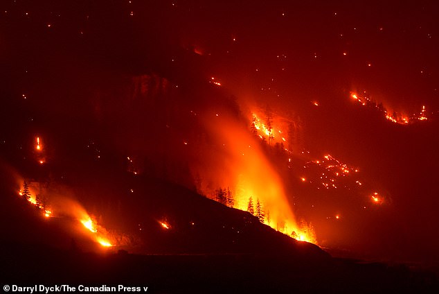 A state of emergency was declared as more than 100 other wildfires burned throughout the region. The Bald Range fire was pictured on Saturday raging on in Summerland