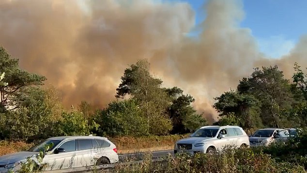 Police urge motorists to 'flee your vehicles if you want to stay alive' as huge fire spreads across A31