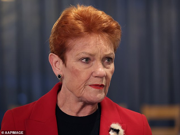 Pauline Hanson claims Australia is on track for another million migrants under Albanese government