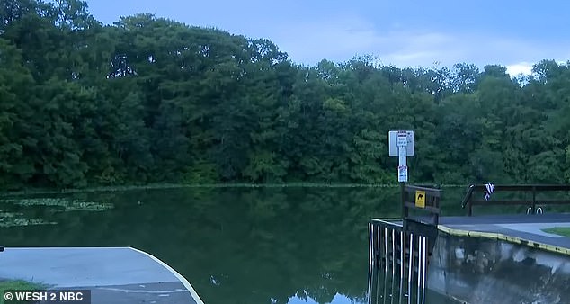 The incident unfolded in the Silver River on Saturday