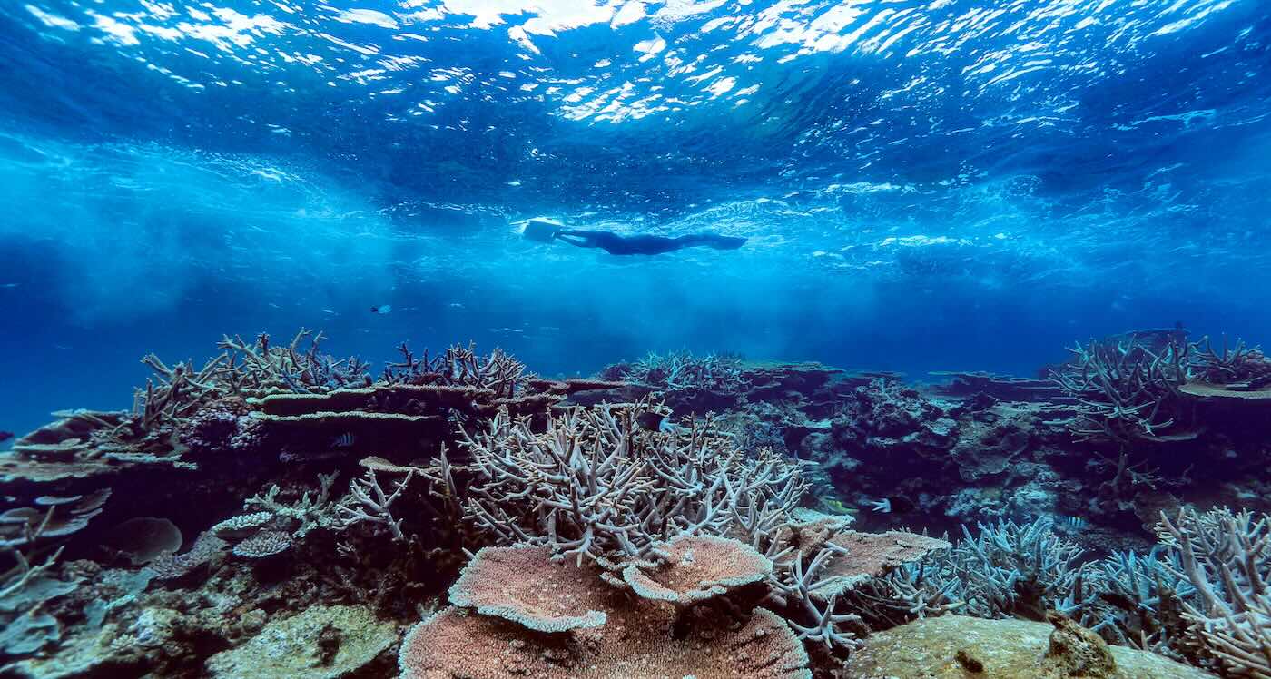 Great Barrier Reef’s Recovery From Bleaching is Aided by Monsoon