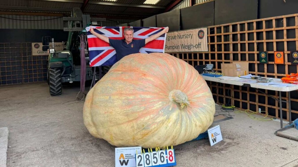World’s Heaviest Pumpkin Sets Incredible New Record at 2,856 lbs.
