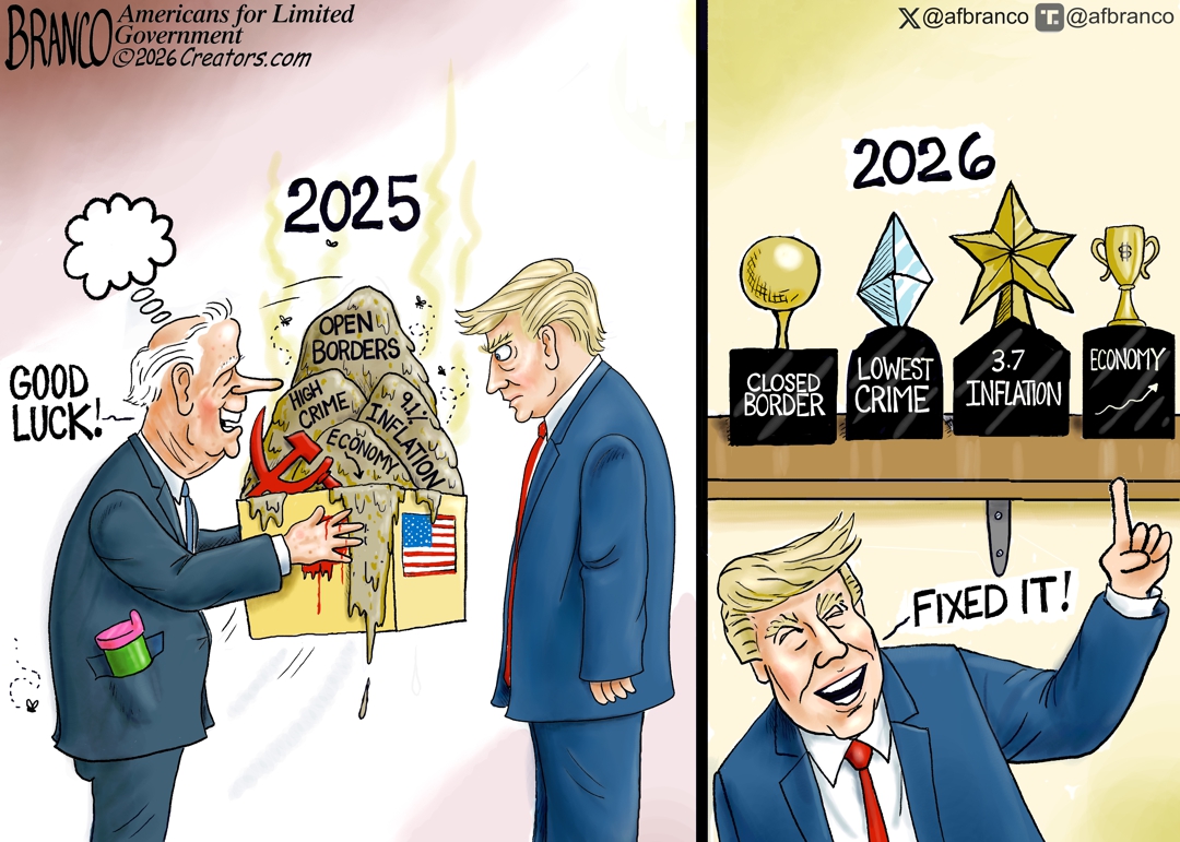 Branco Cartoon – The Fixer