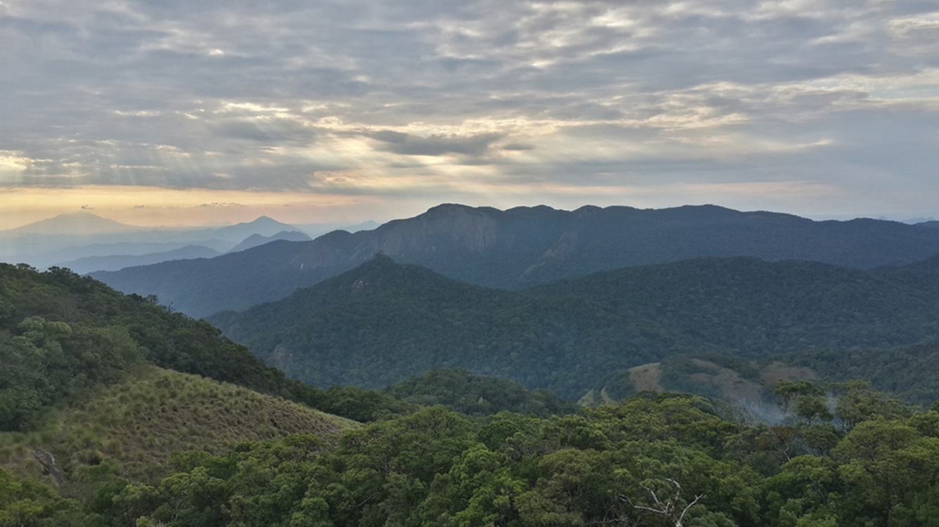 Mozambique Protects the ‘Butterfly Forest’ of Mount Mabu, Home to 200 Species