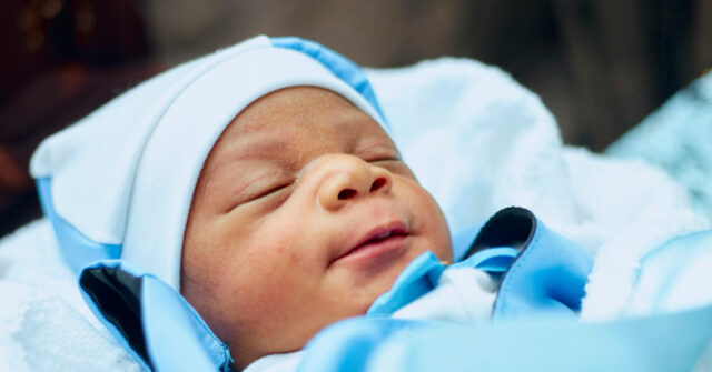 Third Newborn Surrendered to Knoxville Safe Haven Baby Box Since 2023