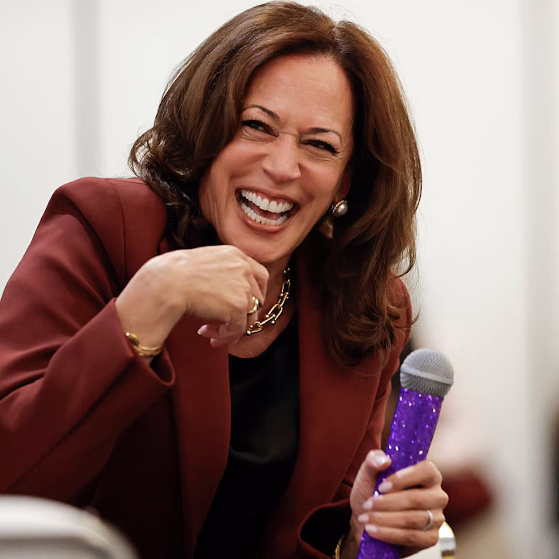 The Democrat Dream Team With Unlimited Ambition And Zero Intelligence
