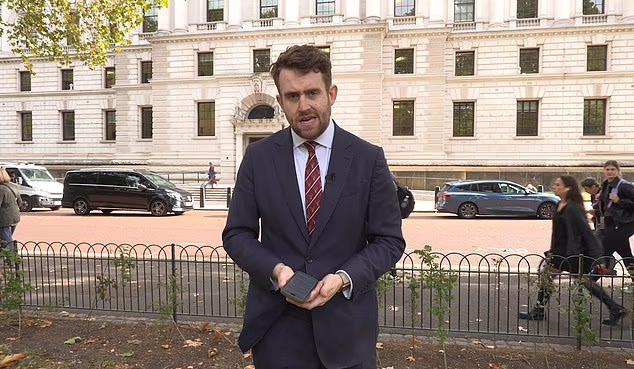 Portent of a Budget crash? Watch moment large branch breaks off as Mail political journalist sets out challenges Chancellor is facing