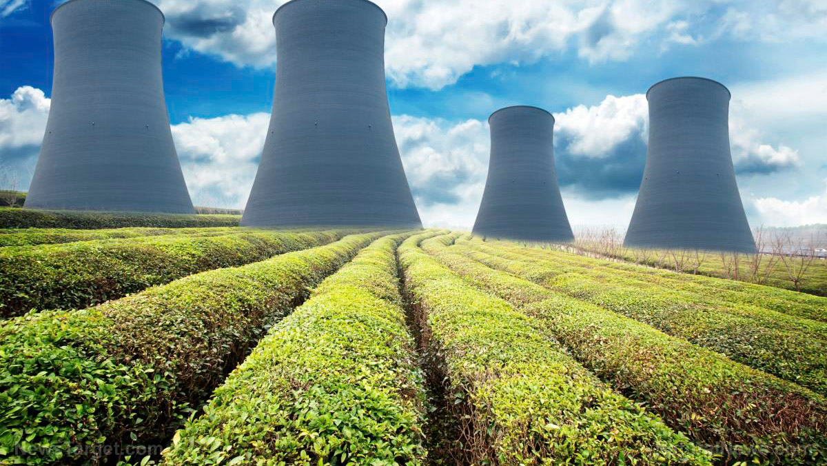 Big Tech&amp;amp;#8217;s nuclear land grab: Who really pays when data centers devour the grid?