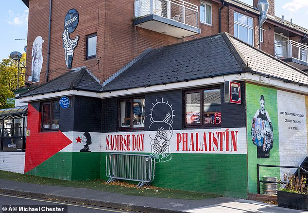 Pro-Palestinian graffiti can be seen around Dublin, including on the Peadar Browns pub