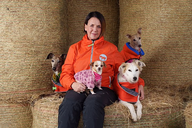 Martina Kenny at My Lovely Horse Rescue. Photo: Fran Veale