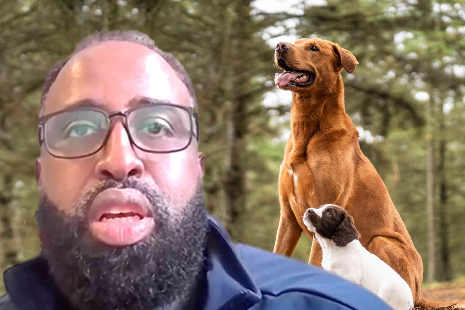 Thumbnail for Somali-born superintendent says Maine schools should change policy on dogs because they are impure