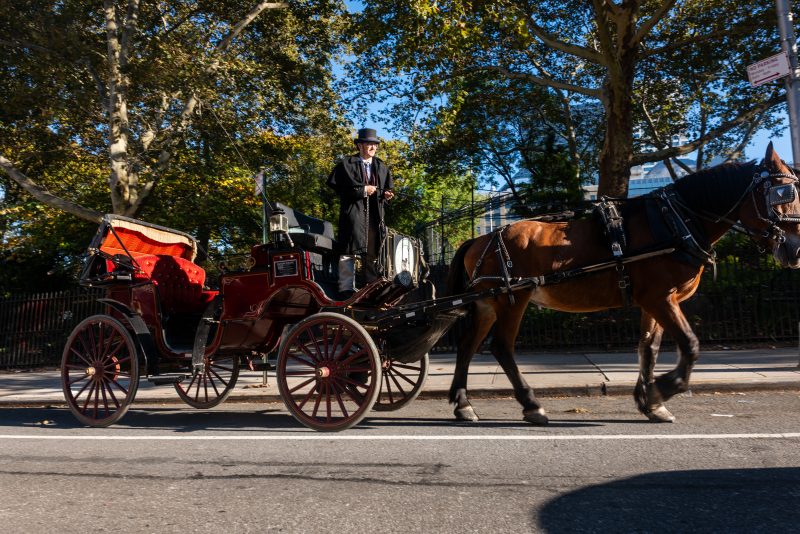 Trump cites ‘political reasons’ after NYC bans horse-drawn carriage rides after 150 years