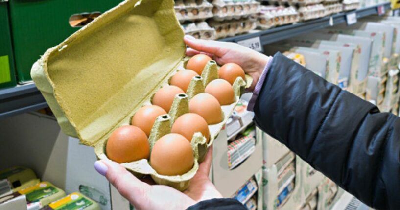 Egg Price Fixing Shouldn't Be Just Another Cost of Doing Business