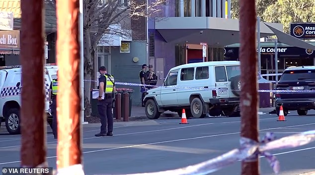 Dr Haines was allegedly struck by a Toyota LandCruiser outside her electorate office in Wangaratta, northern Victoria, on Monday afternoon