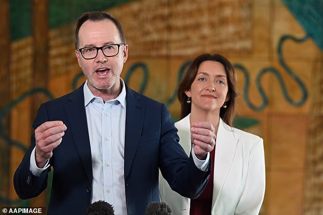 Senator Steele-John maintained he was not on self-imposed leave, despite a statement from party leader David Shoebridge (pictured) saying he was