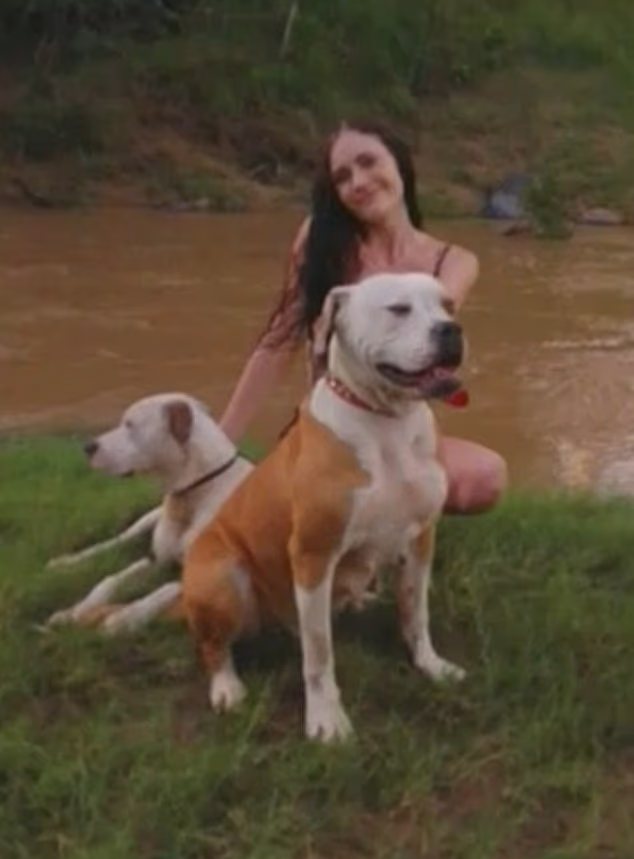 The dogs' owner, Layla Evans, 22, could face a maximum penalty of $120,890 or two years' imprisonment for offences under Queensland legislation, if convicted